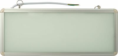 REXANT 74-1310 Светильник аварийно-эвакуационный светодиодный двухсторонний 1.5 ч, 3 Вт 
