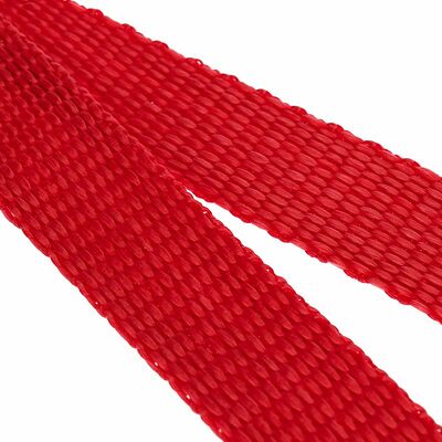 REXANT 80-0246 Ремень для крепления груза, с фиксатором, 5м REXANT