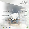 SECURIC SEC-HV-401W Умная Wi-Fi розетка SECURIC SECURIC SEC-HV-401W Умная Wi-Fi розетка SECURIC