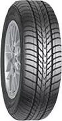 Accelera Epsilon Accelera Epsilon