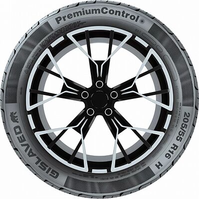 Gislaved Premiumcontrol 195/55 R15 85H 