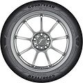 Goodyear EfficientGrip Performance 2