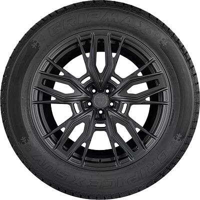 Gripmax Grip Ice X SUV 225/55 R18 102H 