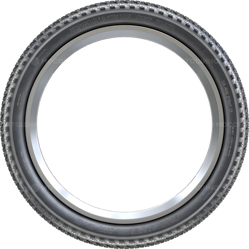 Вид сбоку  Кама Velta MT 210 50-507 (24x2.0)