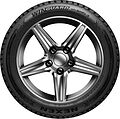 Nexen Winguard Spike 3 235/55 R20 102T