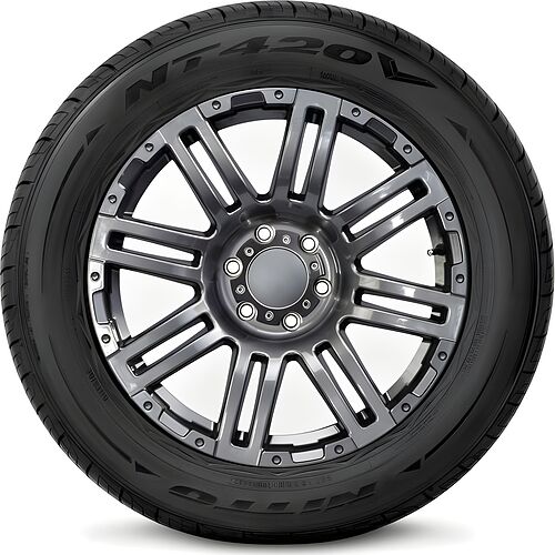 Nitto NT420V