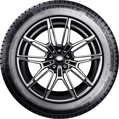 Triangle TW421 EffeXWinter 235/50 R18 101V
