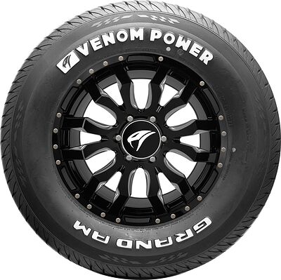 Venom Power Grand AM 185/70 R13 86H