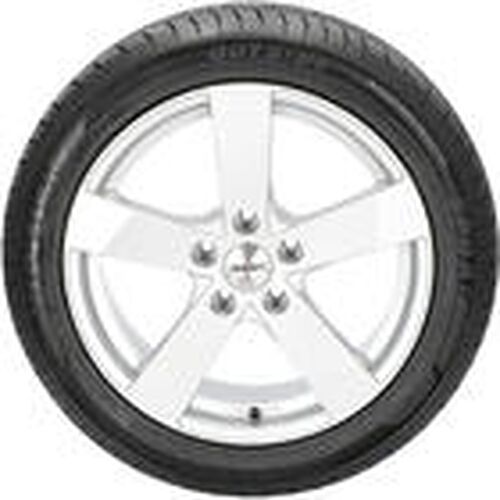 Wanli SA302