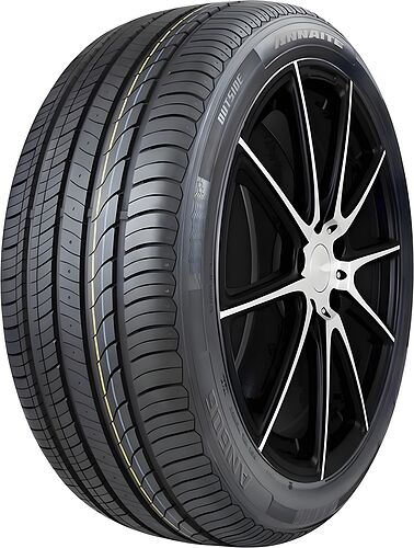 Annaite AN 606