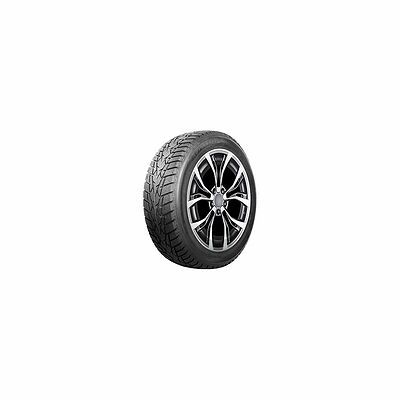 Autogreen Ice Cruiser AW01 205/60 R16 92T