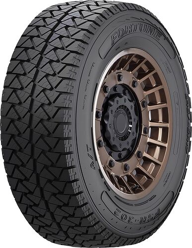 Fortune FSR-302