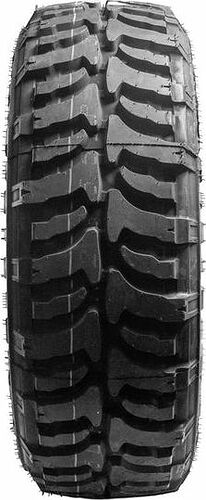 Accelera Badak X-Treme