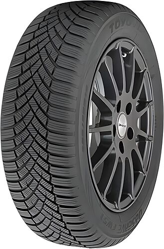 Toyo Observe EWS1
