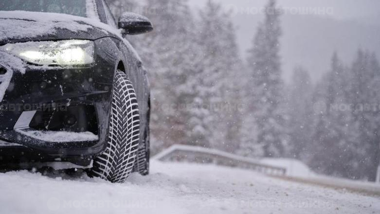 Автомобильные шины Nokian Snowproof 2 [2577]