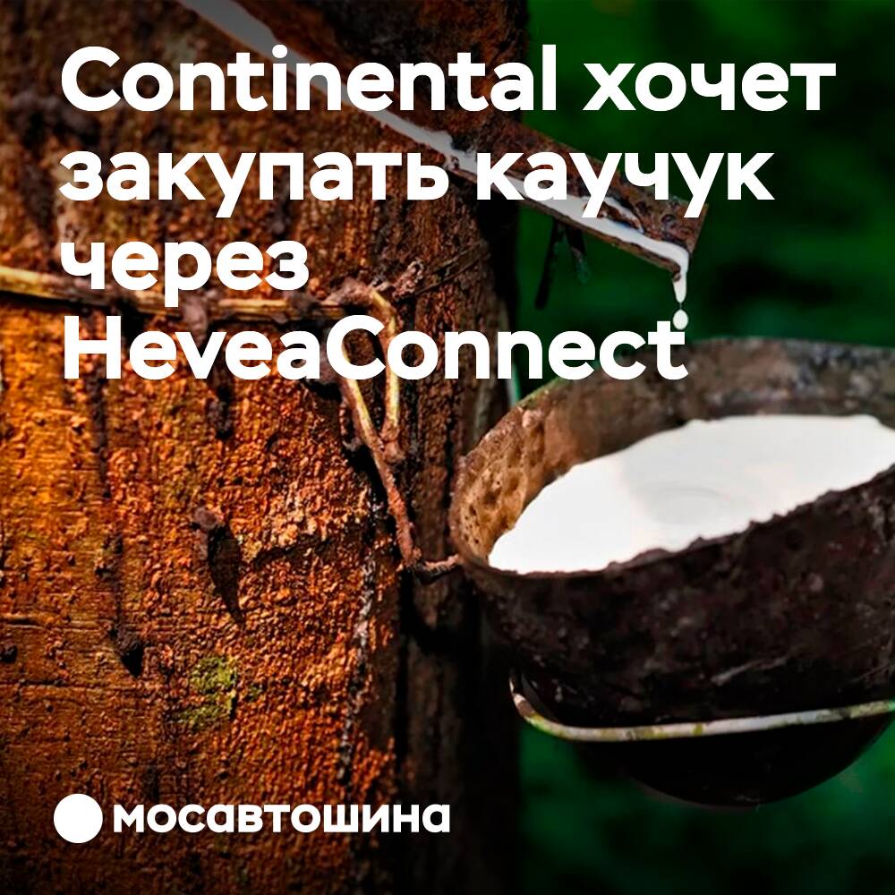 Continental планирует закупать каучук через HeveaConnect