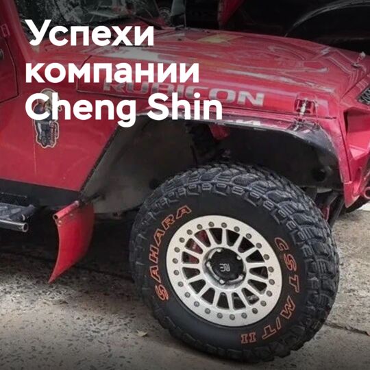 Чистая прибыль компании Cheng Shin выросла в первой половине года