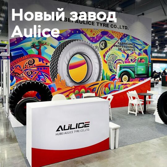 Aulice построит завод в Танзании