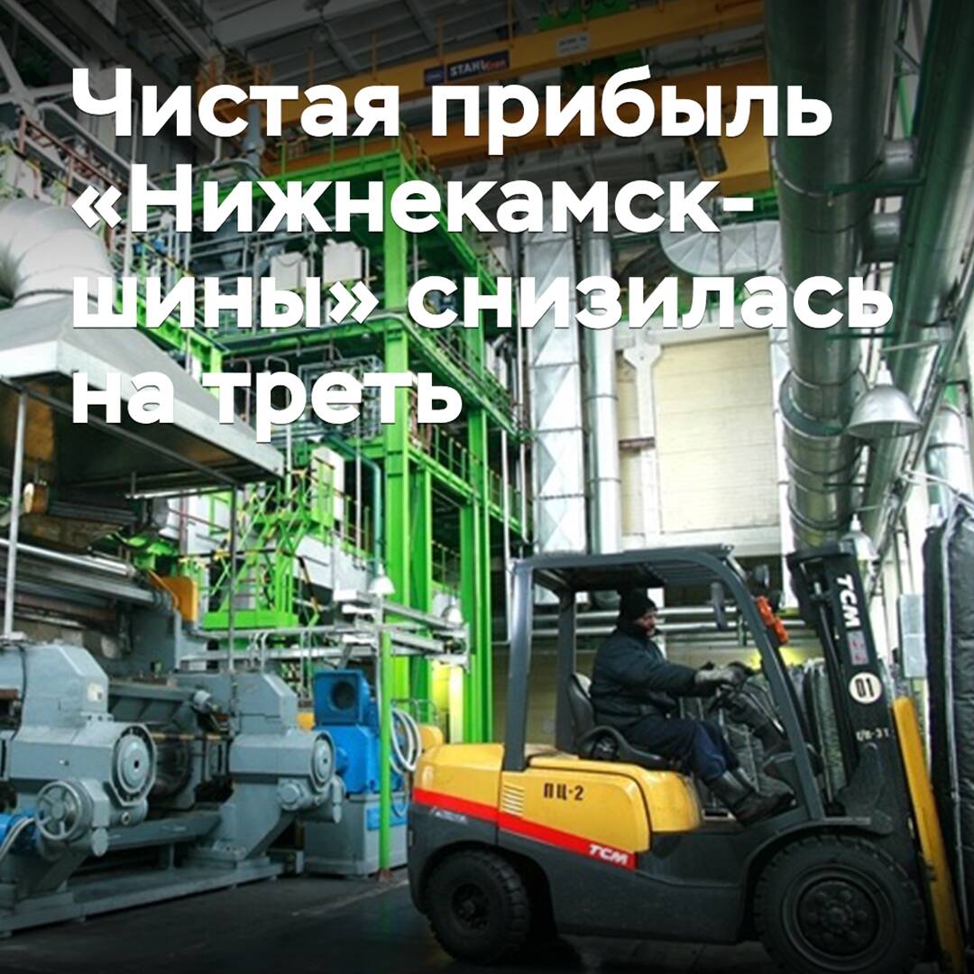 Чистая прибыль «Нижнекамскшины» снизилась на треть