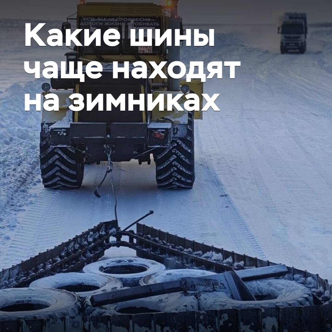 Какие шины чаще находят на зимниках
