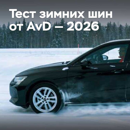 Тест зимних шин от AvD — 2026