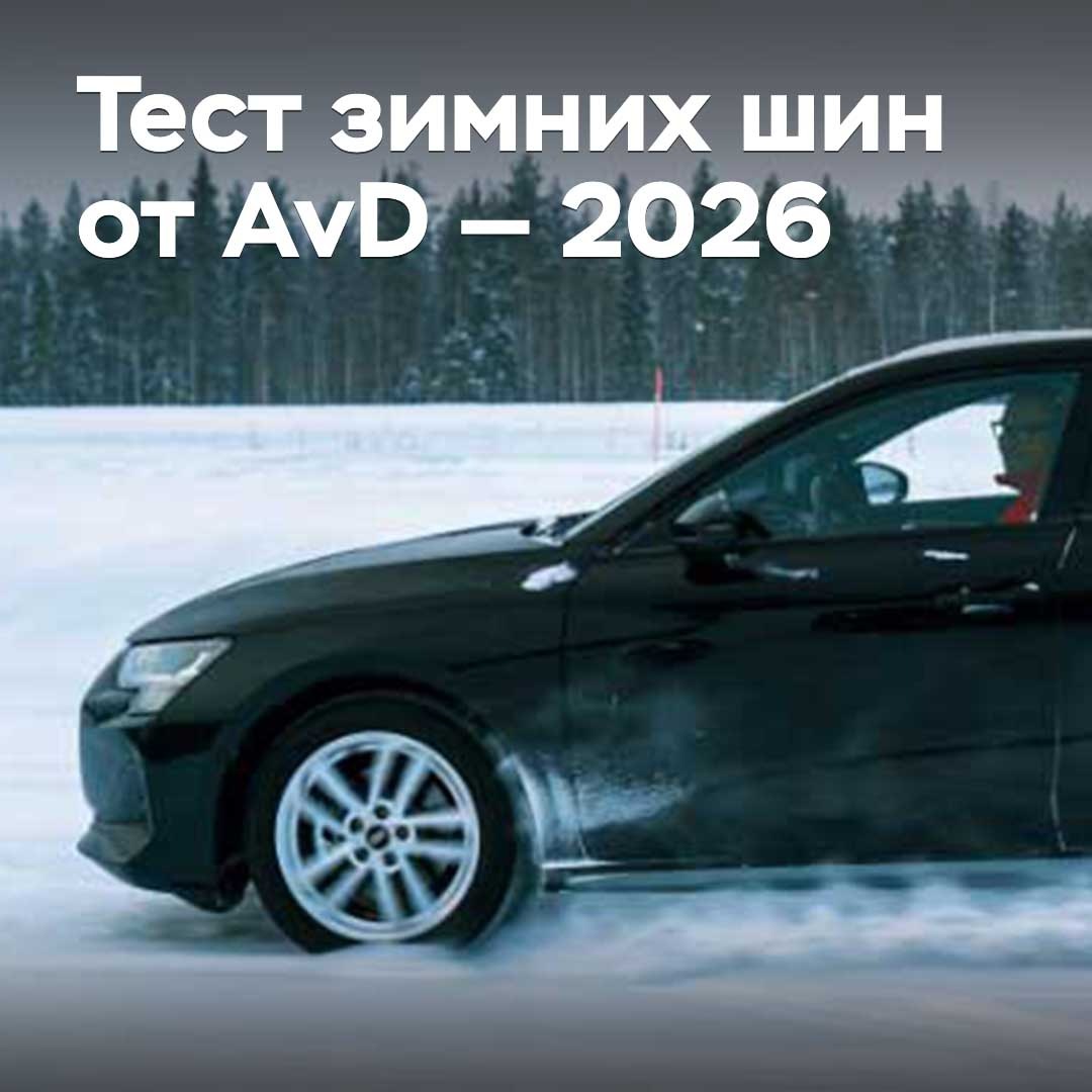 Тест зимних шин от AvD — 2026